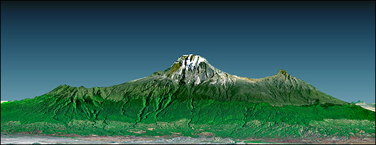Kilimanjaro