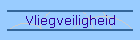 Vliegveiligheid